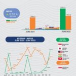 Perkembangan-Exim-Maluku-Juni-2022-ind